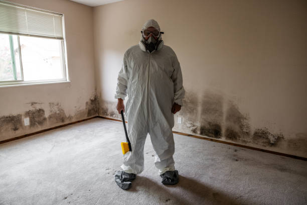 Best Mold Remediation  in Mona, UT